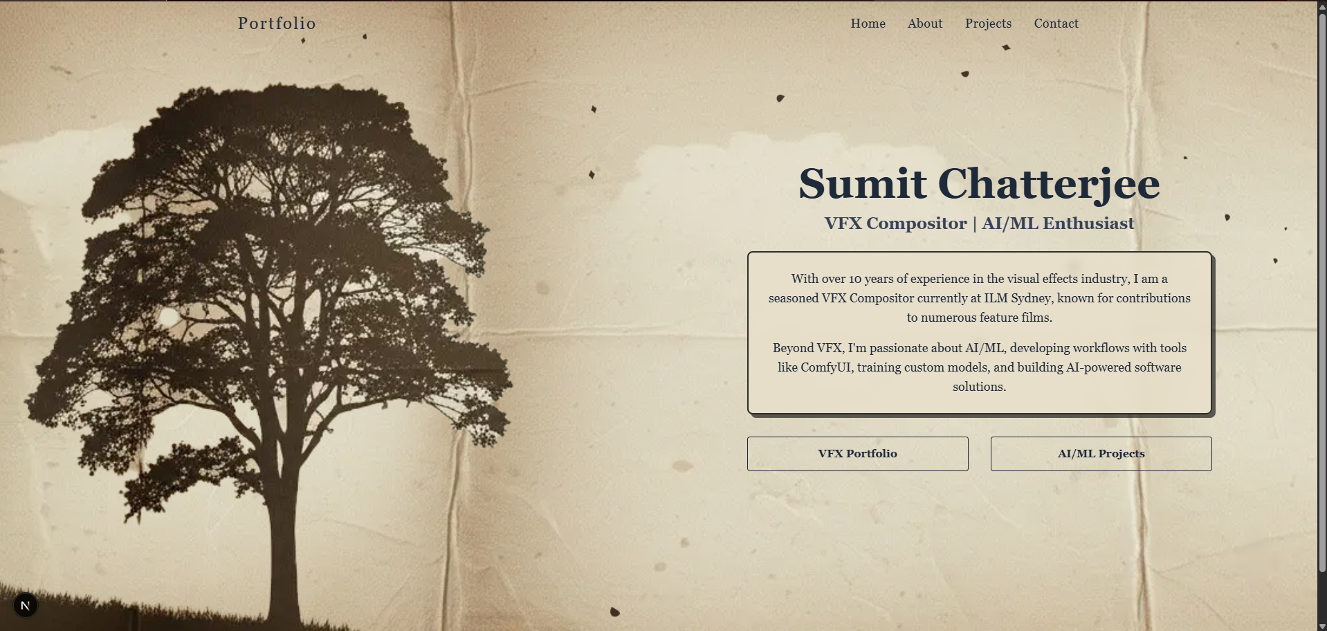 Web app and API development preview